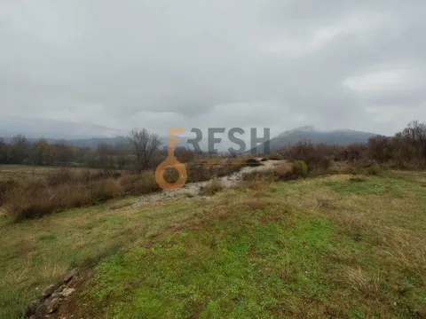 Prodaja, plac, 2500m², Danilovgrad, Crna Gora - image 8