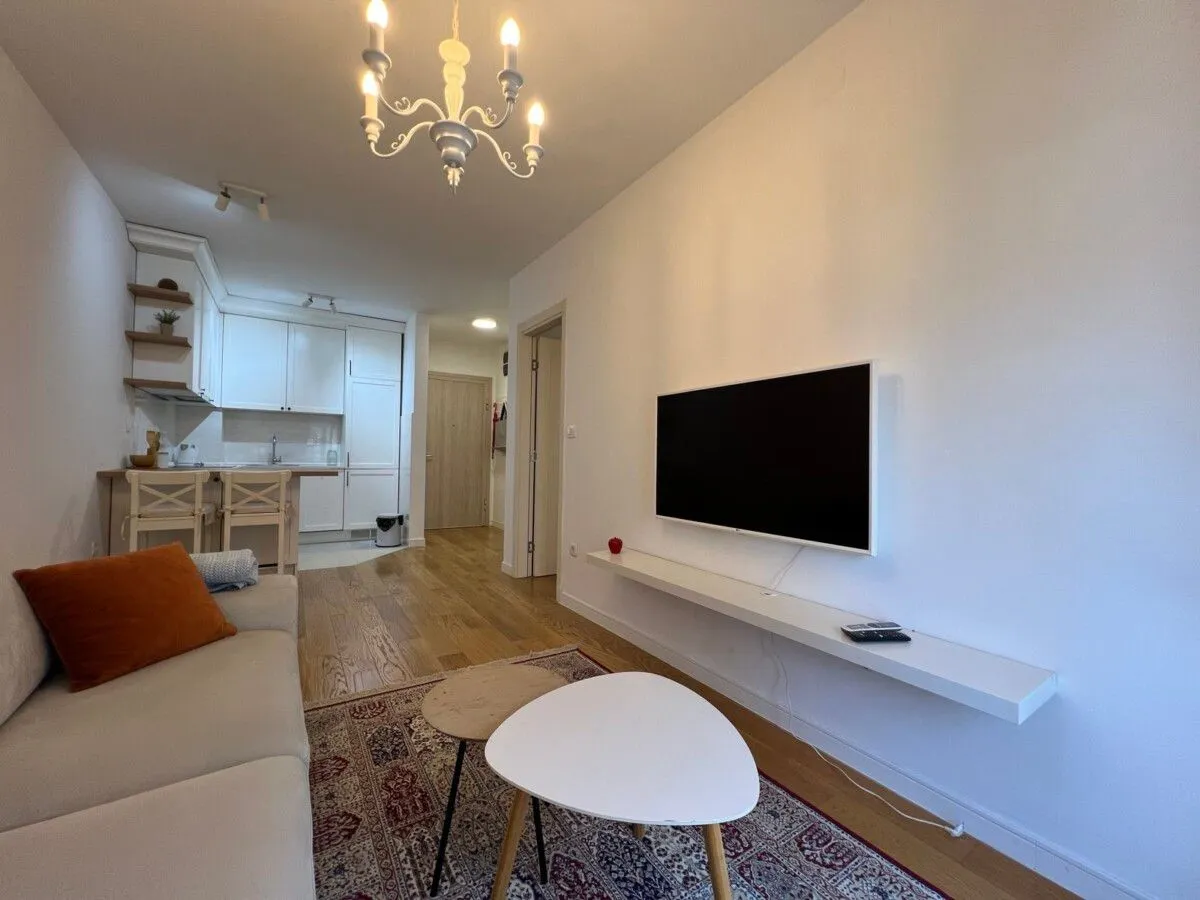 Rent, one bedroom apartment, 42m², Central Point, Podgorica