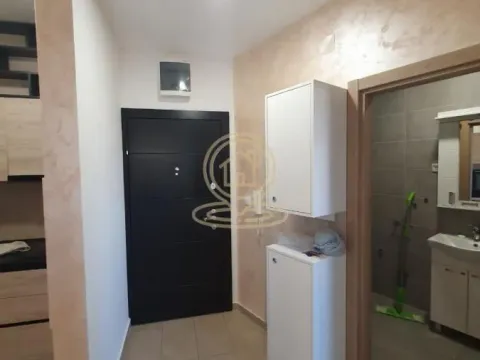 Izdavanje, dvosoban stan, 40m², Telep, Novi Sad Sve Podlokacije - image 3