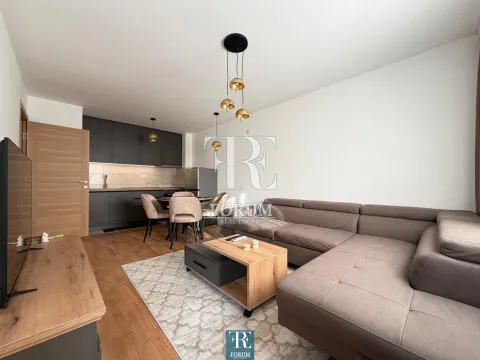 Izdavanje, jednosoban stan, 40m², Stari Aerodrom, Podgorica - image 2