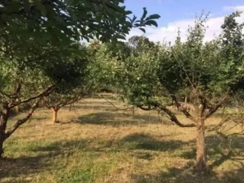 Prodaja, kuća, 49m², Obrež, Pećinci - image 8