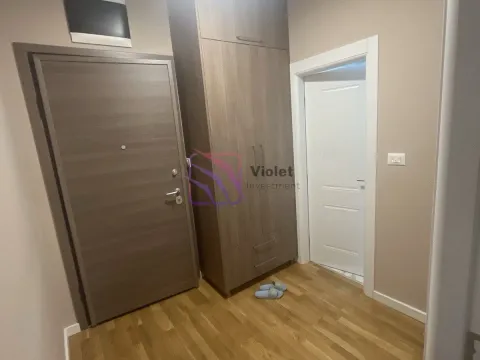 Rent, one bedroom apartment, 47m², Zabjelo, Podgorica - image 4