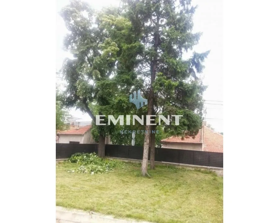 View of the grassy yard and trees in front of the house.