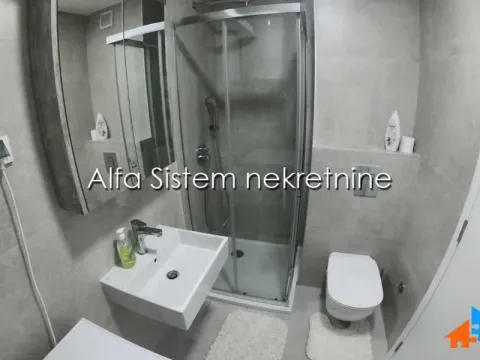 Rent, two bedroom apartment, 40m², Lion, Zvezdara Sve Podlokacije - image 14