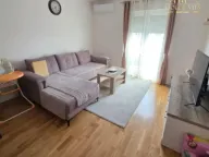 Rent, one bedroom apartment, 41m², Zabjelo, Podgorica - image 1