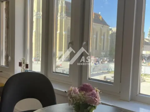 Izdavanje, dvosoban stan, 50m², Centar, Novi Sad - image 4