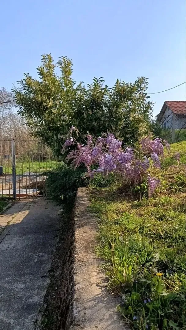 Prodaja, kuća, 197m², Sremska Kamenica, Petrovaradin