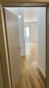 View through an open entrance door into a bright, empty apartment. - image 6