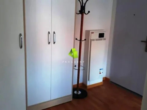 Rent, one bedroom apartment, 44m², Pantelej, Niš - image 14