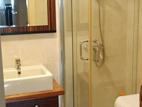 Izdavanje, dvosoban stan, 45m², Zvezdara Sve Podlokacije, Beograd - image 9