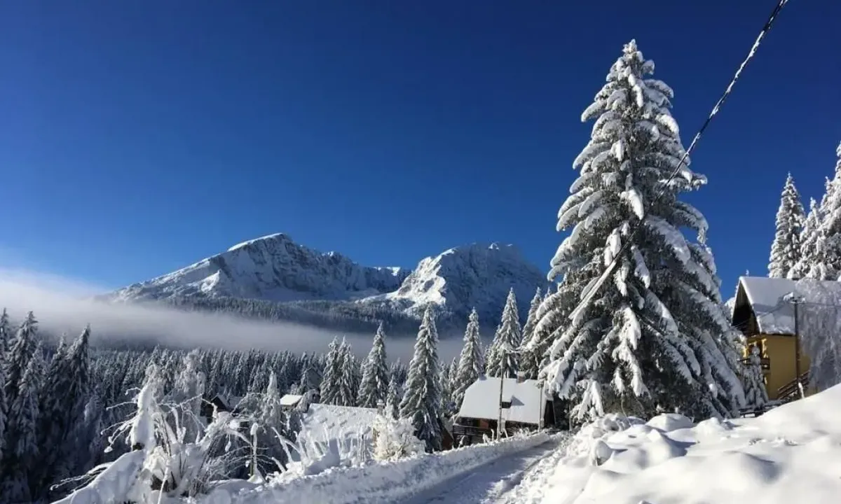 Prodaja, kuća, 375m², Žabljak, Crna Gora