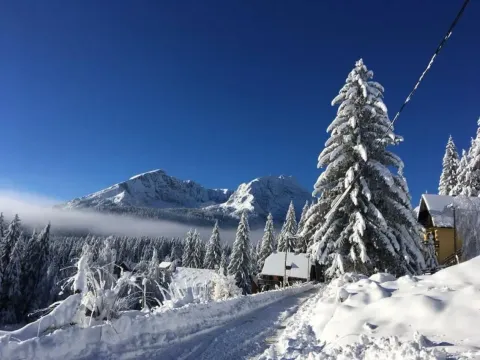 Prodaja, kuća, 375m², Žabljak, Crna Gora