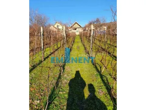 Sale, house, 150m², Slankamenački vinogradi, Inđija - image 4