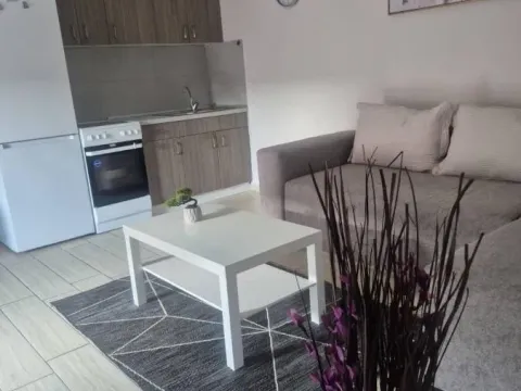 Rent, one bedroom apartment, 42m², Telep, Novi Sad Sve Podlokacije - image 4