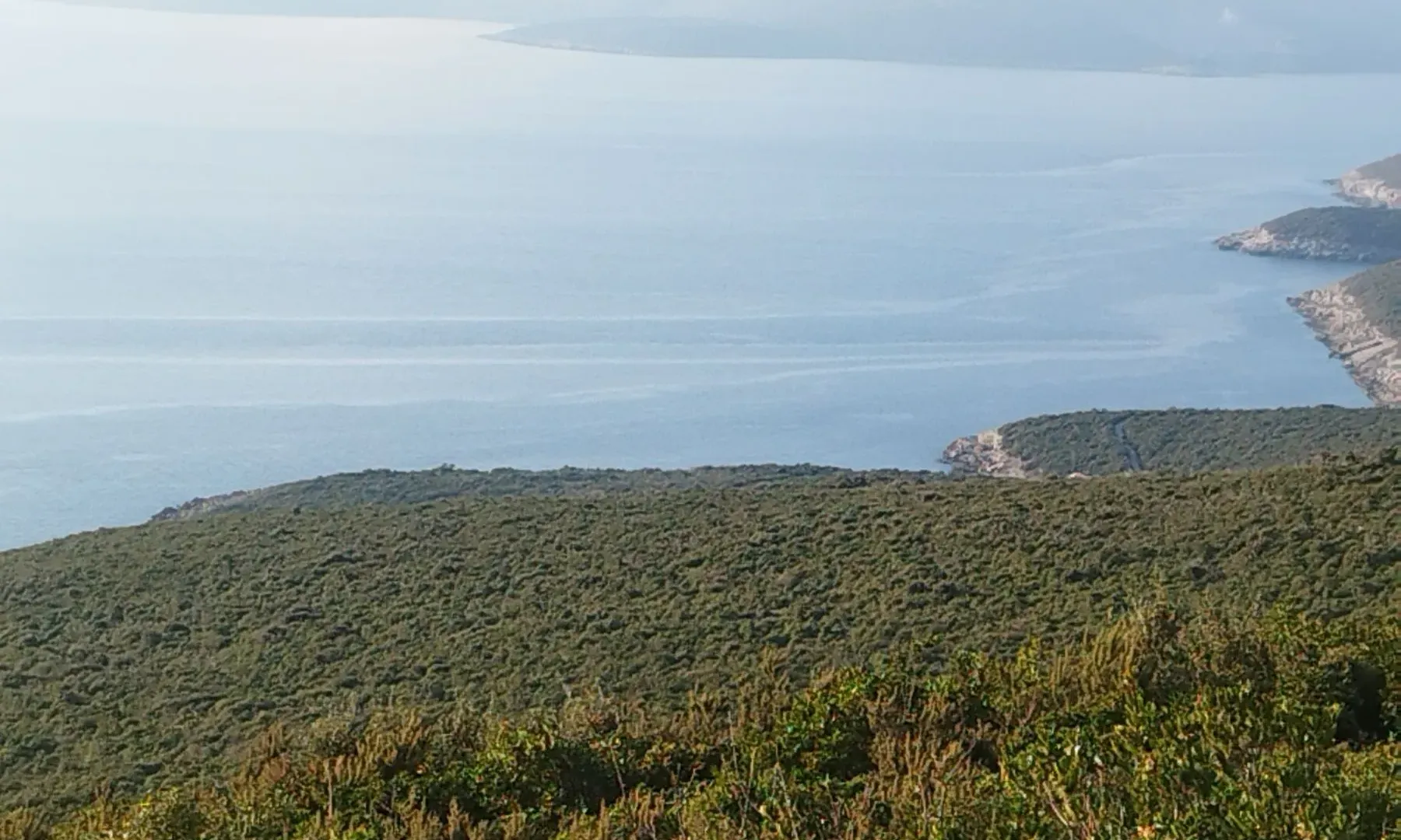 Prodaja, plac, 30000m², Kotor, Crna Gora