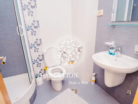 Izdavanje, jednosoban stan, 43m², Stari Aerodrom, Podgorica - image 7