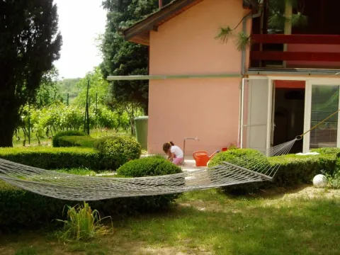 Prodaja, kuća, 360m², Irig, Srbija - image 3