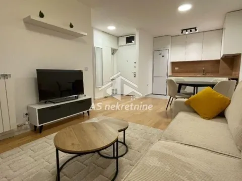 Izdavanje, dvosoban stan, 46m², Višnjička Banja, Palilula Sve Podlokacije - image 2