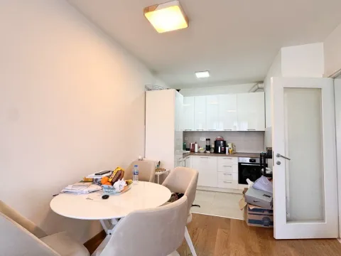 Prodaja, jednosoban stan, 45m², Tološka šuma, Podgorica - image 11