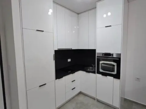 Izdavanje, jednosoban stan, 46m², Stari Aerodrom, Podgorica