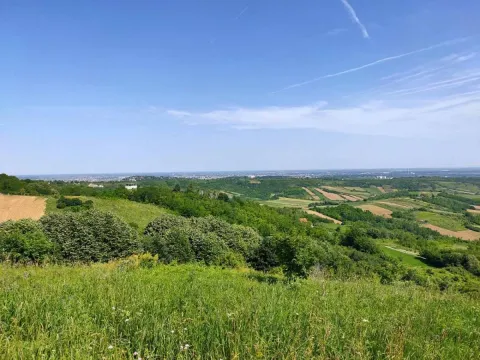 Prodaja, plac, 5600m², Novi Sad, Srbija - image 3