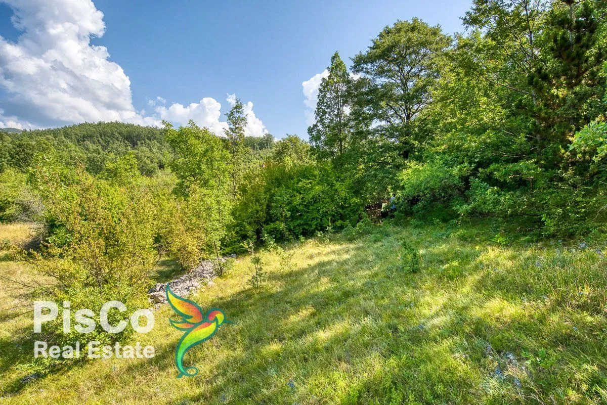 Prodaja, plac, Danilovgrad, Crna Gora