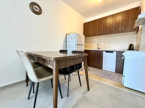 Izdavanje, jednosoban stan, 48m², Stari Aerodrom, Podgorica - image 5