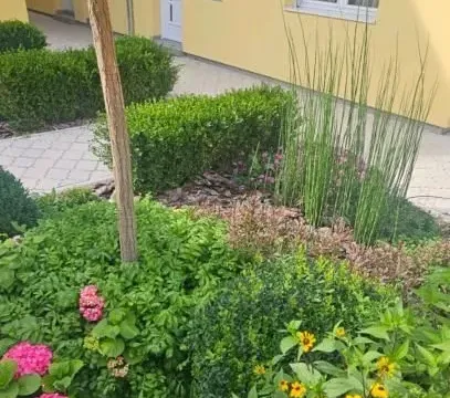 Izdavanje, jednosoban stan, 36m², Centar, Novi Sad - image 21