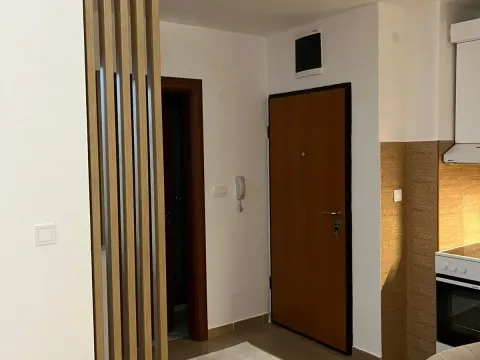 Izdavanje, jednosoban stan, 42m², Central Point, Podgorica - image 4