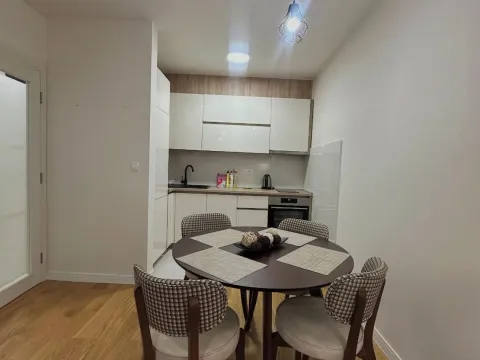 Izdavanje, jednosoban stan, 50m², Central Point, Podgorica - image 7