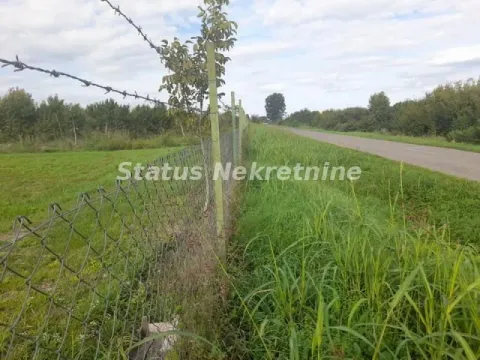 Sale, land lot, 435m², Sremska Mitrovica, Srbija - image 8