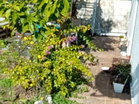 Prodaja, kuća, 138m², Seoce, Budva - image 3