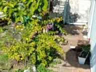 Sale, house, 138m², Seoce, Budva - image 3