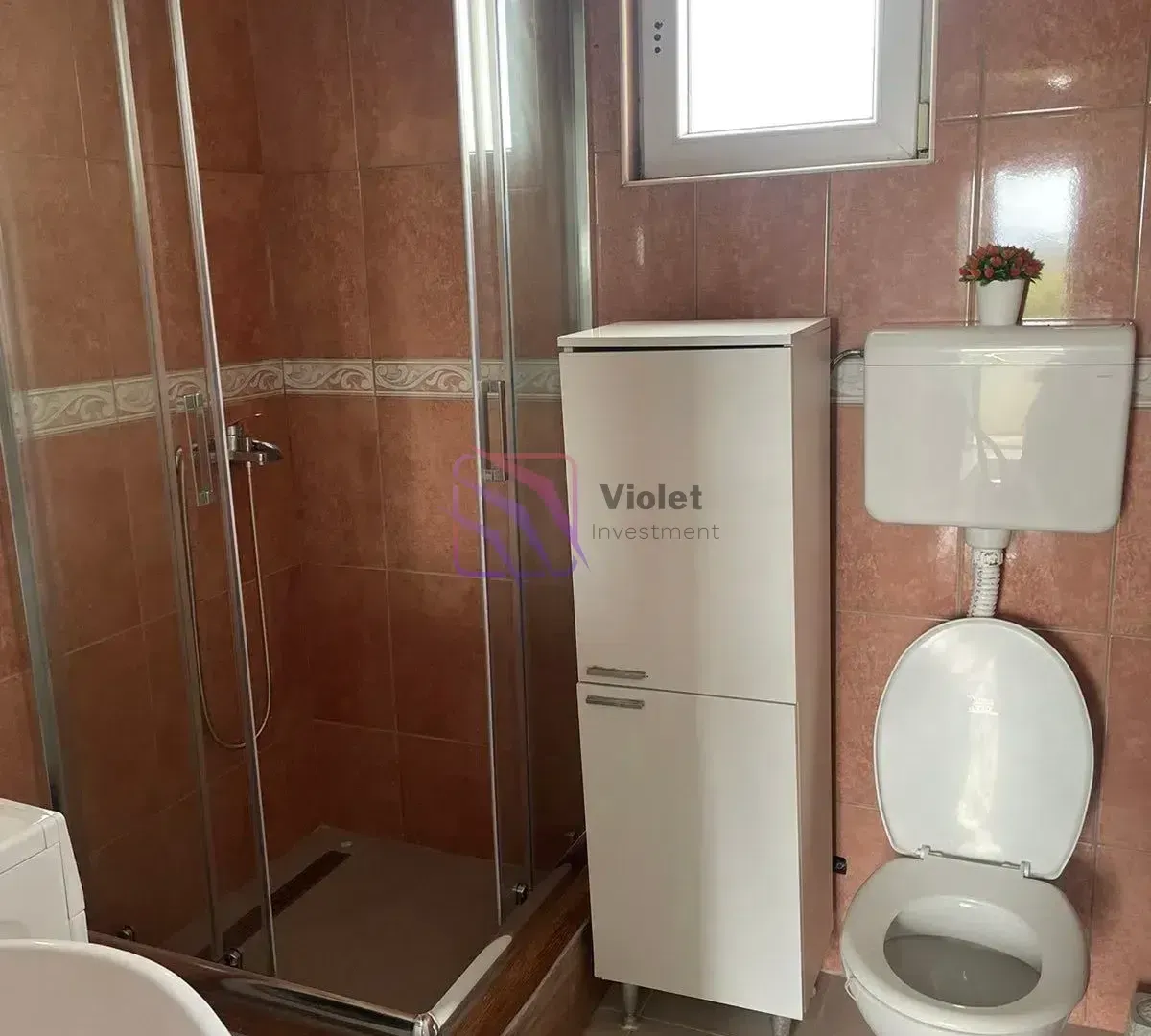 Bathroom with a shower cabin, toilet, and a white bathroom cabinet.