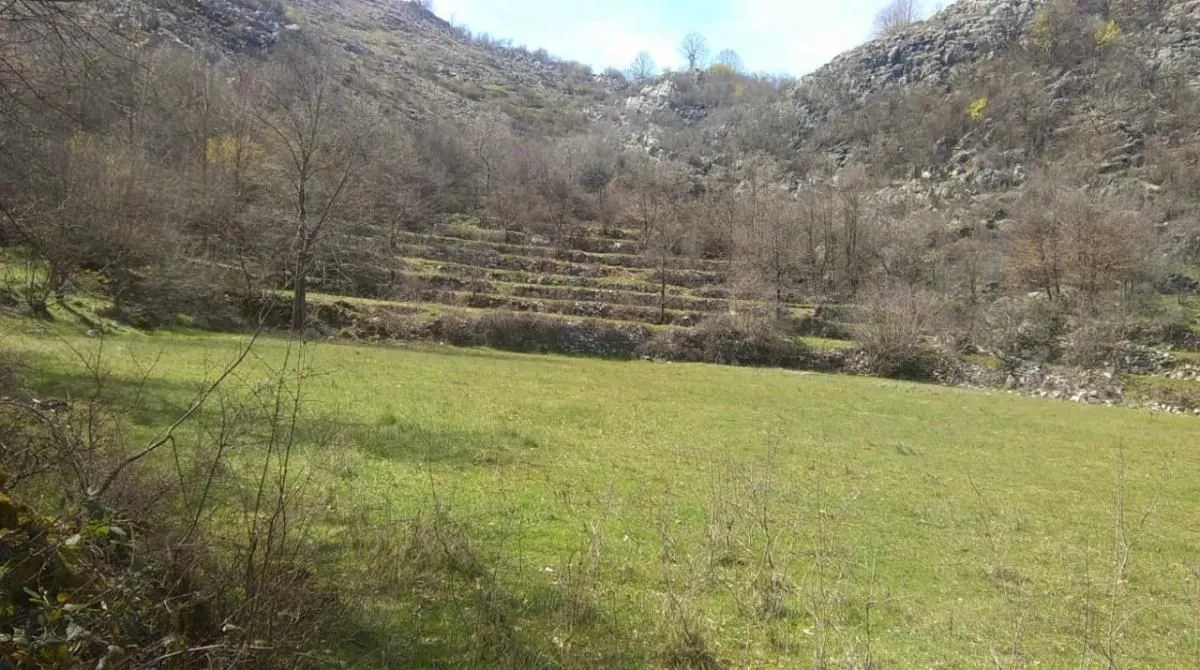 Prodaja, plac, 240000m², Štitari, Cetinje