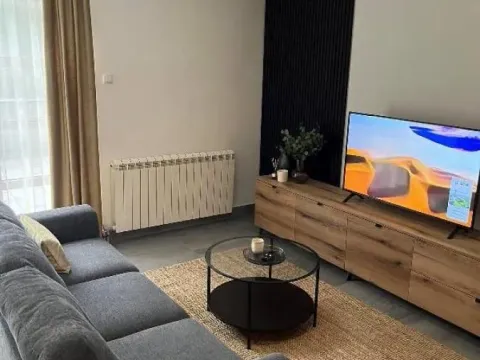 Izdavanje, jednosoban stan, 70m², Vračar Hram, Vračar Sve Podlokacije - image 2