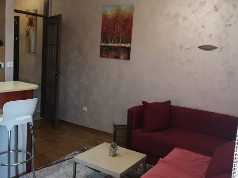Izdavanje, garsonjera, 25m², Stari Aerodrom, Podgorica - image 2