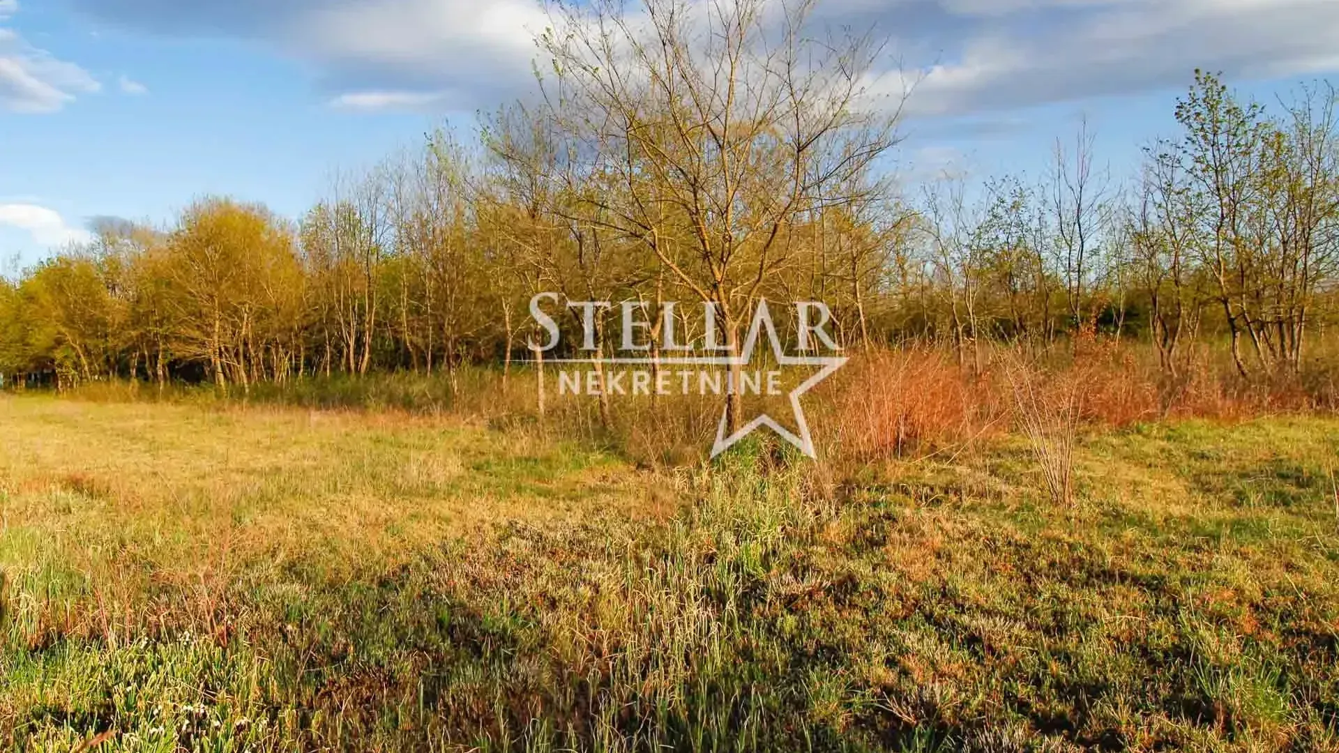 Prodaja, plac, 5554m², Jastreb, Danilovgrad