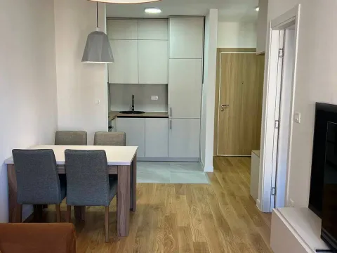 Izdavanje, jednosoban stan, 41m², Central Point, Podgorica - image 3