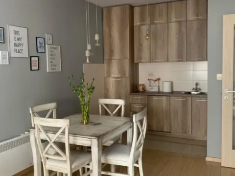 Stan-na-dan, jednosoban stan, 47m², City Kvart, Podgorica - image 3