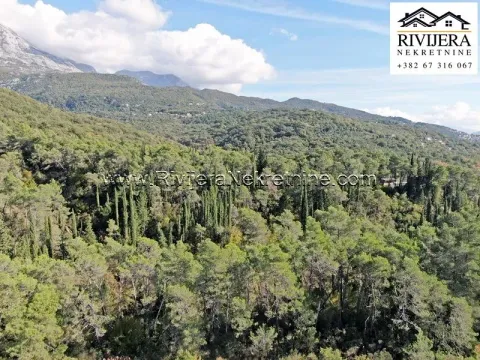 Prodaja, plac, 33385m², Sutorina, Herceg Novi - image 4