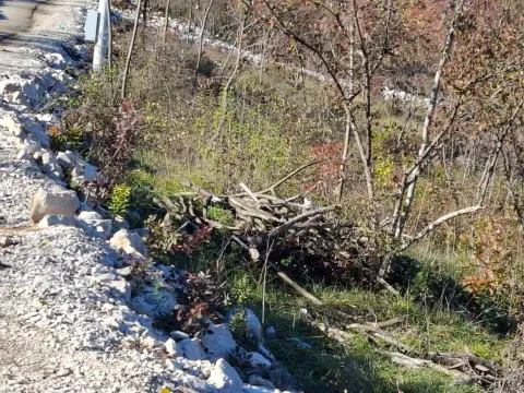 Prodaja, plac, 5000m², Bandići, Danilovgrad - image 4