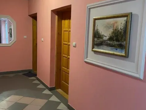Rent, one bedroom apartment, 24m², Bulevar Oslobodjenja, Novi Sad Sve Podlokacije - image 4