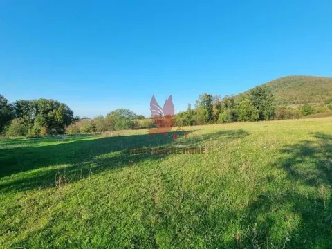 Sale, land lot, 11500m², Kosmaj, Sopot - image 9