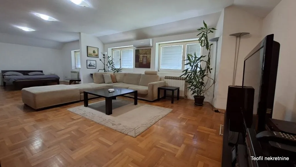 Rent, studio apartment, 120m², Severni Bulevar, Zvezdara Sve Podlokacije