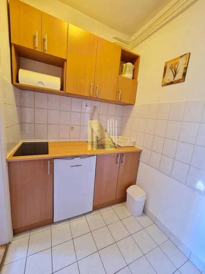 Manja kuhinja sa drvenim elementima, sudoperom i ugrađenom pločom za kuvanje.