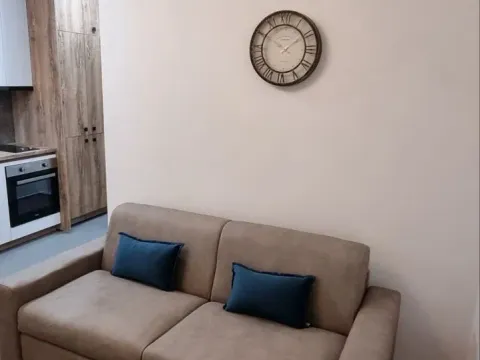 Rent, one bedroom apartment, 27m², Zabjelo, Podgorica - image 3