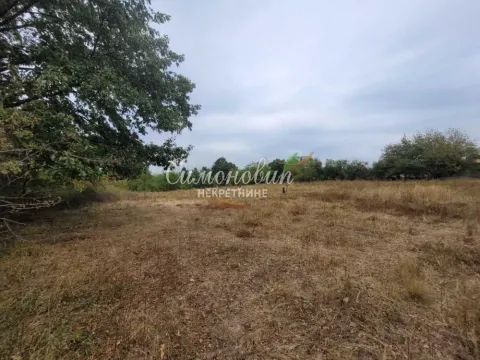 Pogled na prostrano zemljište sa rastinjem i drvećem. - image 6
