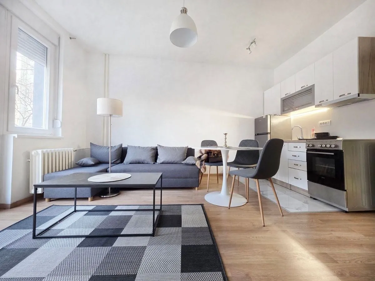 Rent, two bedroom apartment, 45m², Profesorska Kolonija, Palilula Sve Podlokacije