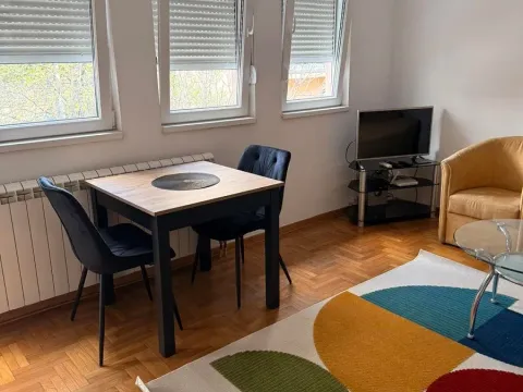 Rent, two bedroom apartment, 36m², Lekino Brdo, Voždovac Sve Podlokacije - image 4